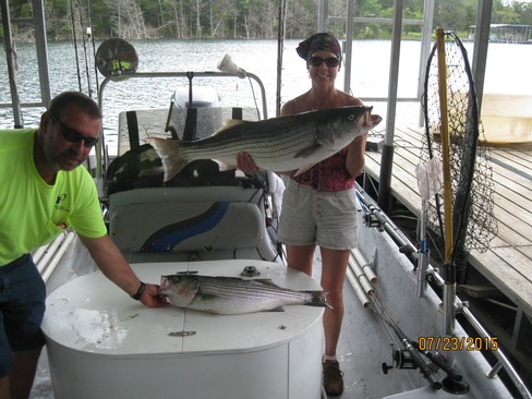 Nice Striped Bass